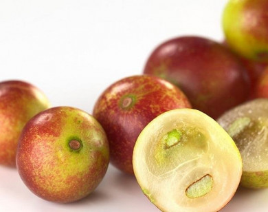 Lợi ích sức khỏe tuyệt vời của quả Camu camu