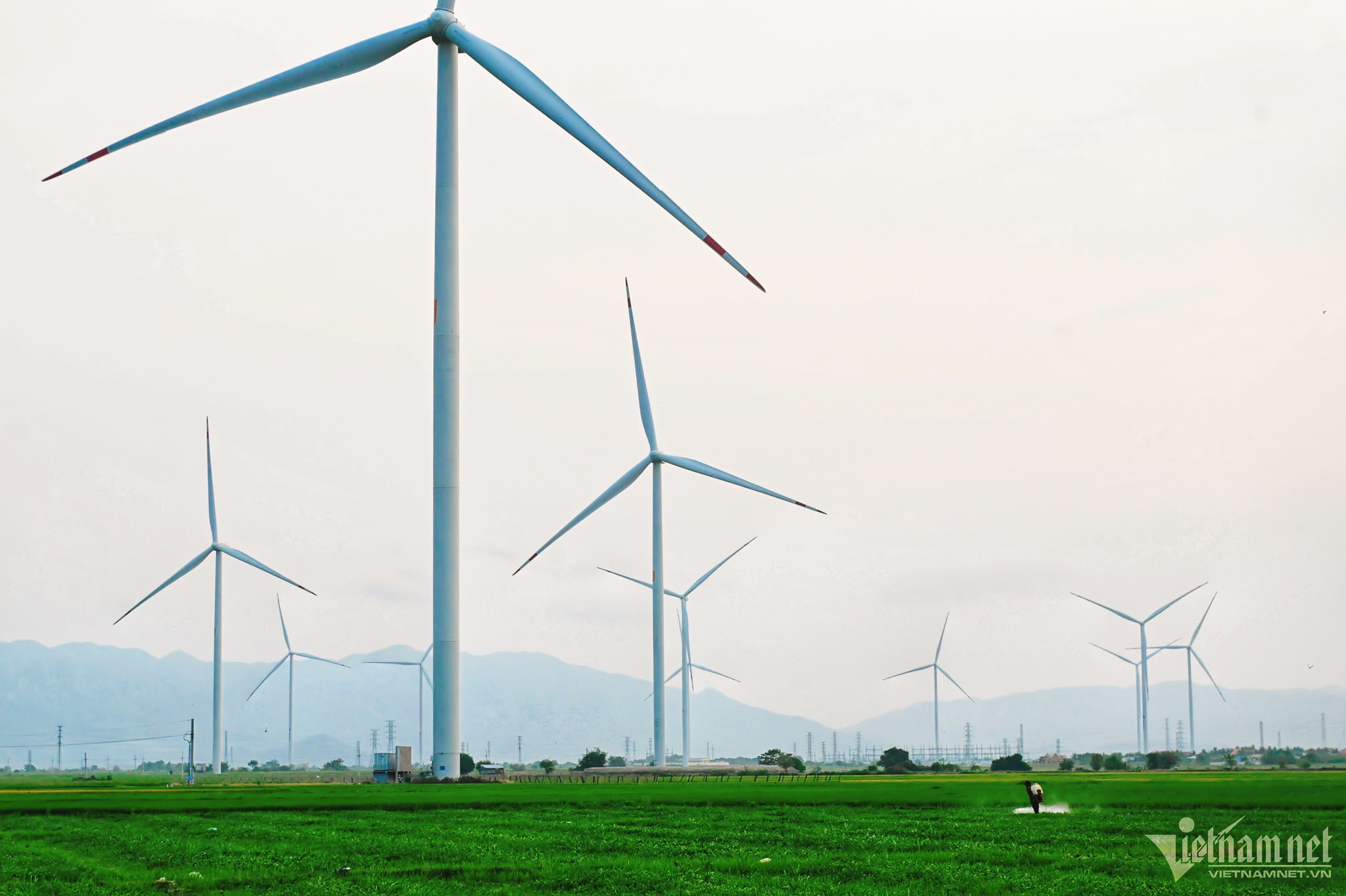 Thống nhất giá tạm tính cho 20 dự án điện gió chuyển tiếp