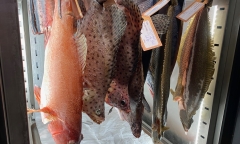 Cá ủ tươi lần đầu xuất hiện tại TP.HCM, 4 triệu đồng/kg vẫn hút khách