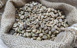 Giá cà phê hôm nay 28-11: Tăng