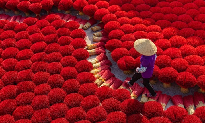 Làng hương cổ hơn 100 năm tuổi ở Hà Nội tất bật vào vụ Tết