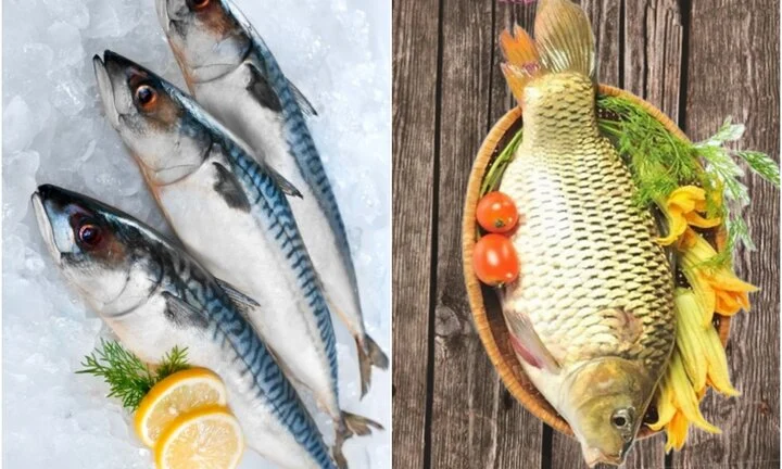 Ăn cá nước mặn hay cá nước ngọt bổ dưỡng hơn?