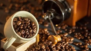 Giá cà phê hôm nay 26/2: Trong nước và thế giới cùng giảm