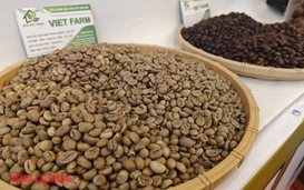 Giá cà phê hôm nay, 28-3: Lao dốc, thấp nhất 6 tuần qua