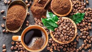 Giá cà phê hôm nay 12/4: Tăng nhẹ sau khi Mỹ hạ thuế nhập khẩu từ Việt Nam
