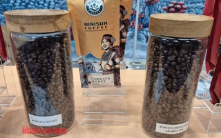 Giá cà phê hôm nay 30-5: Tiếp tục lao dốc