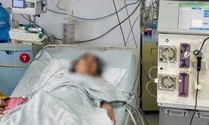 Ngừng tim, suy đa tạng vì nhiễm trùng từ vết ong đốt