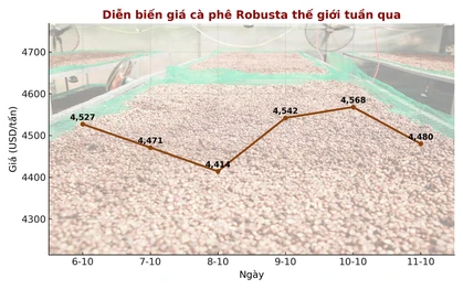 Giá cà phê hôm nay 11-10: Chốt tuần giảm, xuất khẩu cà phê toàn cầu ra sao?